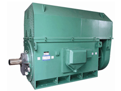 JR136-8Y系列6KV高压电机
