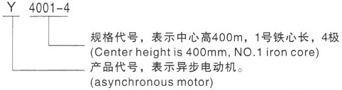 西安泰富西玛Y系列(H355-1000)高压JR136-8三相异步电机型号说明